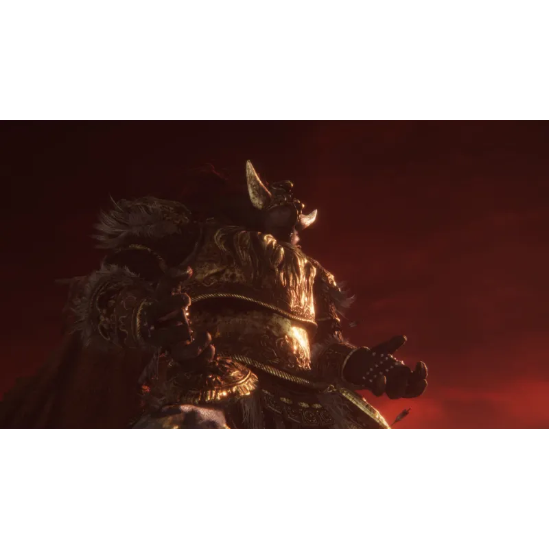 PRÉCOMMANDE ELDEN RING TARNISHED EDITION SWITCH 2, CARTE CLÉ DE JEU POUR NINTENDO SWITCH 2, VERSION ESPAGNOLE, GARANTIE - The Sh