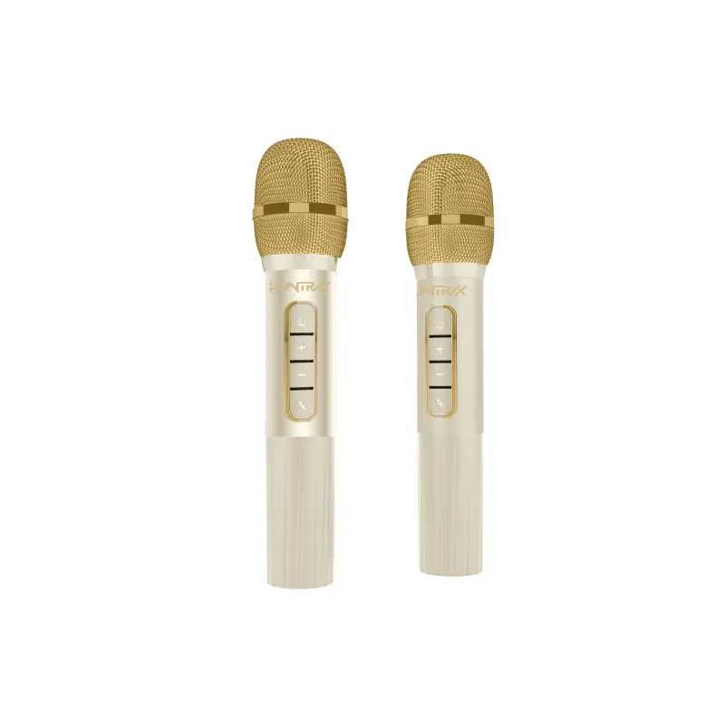 SET KARAOKE INALÁMBRICO KPOP DEMON HUNTERS HUNTRIX GOLDEN CON 2 MICRÓFONOS BLUETOOTH 5.3 LUCES LED E CAMBIADOR DE VOZ