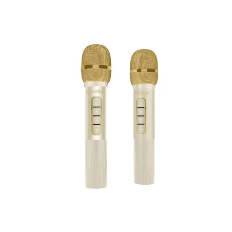 SET KARAOKE INALÁMBRICO KPOP DEMON HUNTERS HUNTRIX GOLDEN CON 2 MICRÓFONOS BLUETOOTH 5.3 LUCES LED E CAMBIADOR DE VOZ
