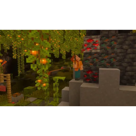 PREVENTA MINECRAFT NINTENDO SWITCH 2 EDITION TARJETA LLAVE DE JUEGO PARA NINTENDO SWITCH 2 VERSIÓN ESPAÑOLA GARANTIA EU WARRANTY